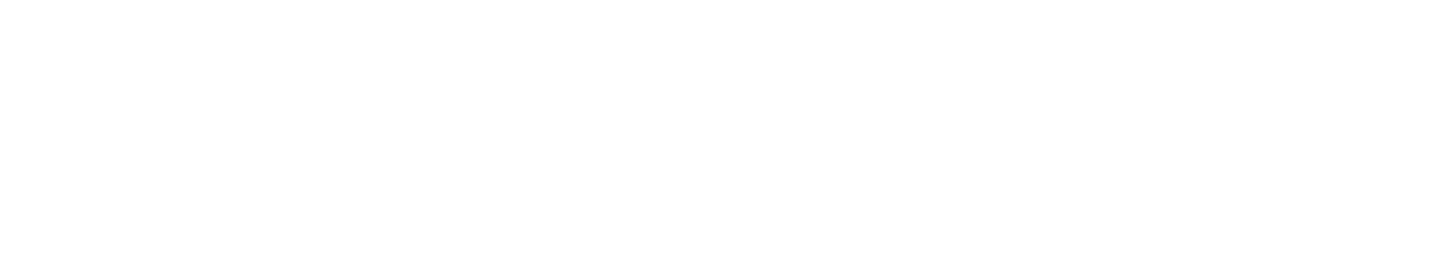 IPP - Ústav fyziky plazmatu