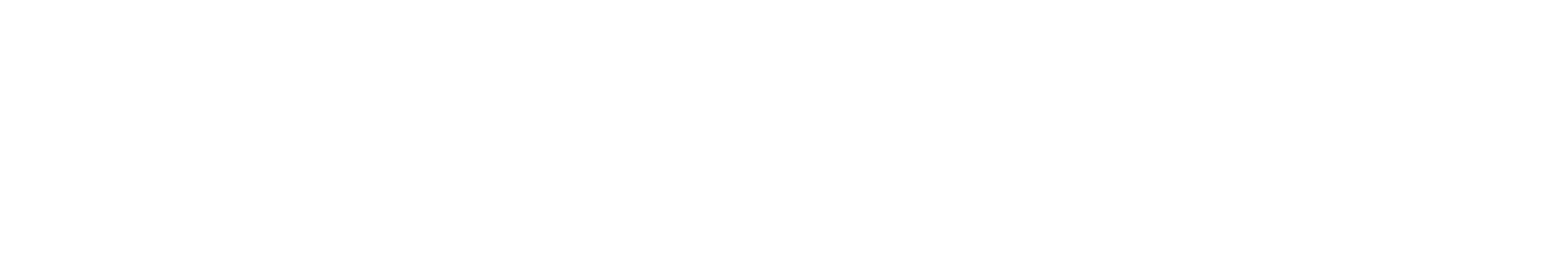 IPP - Ústav fyziky plazmatu